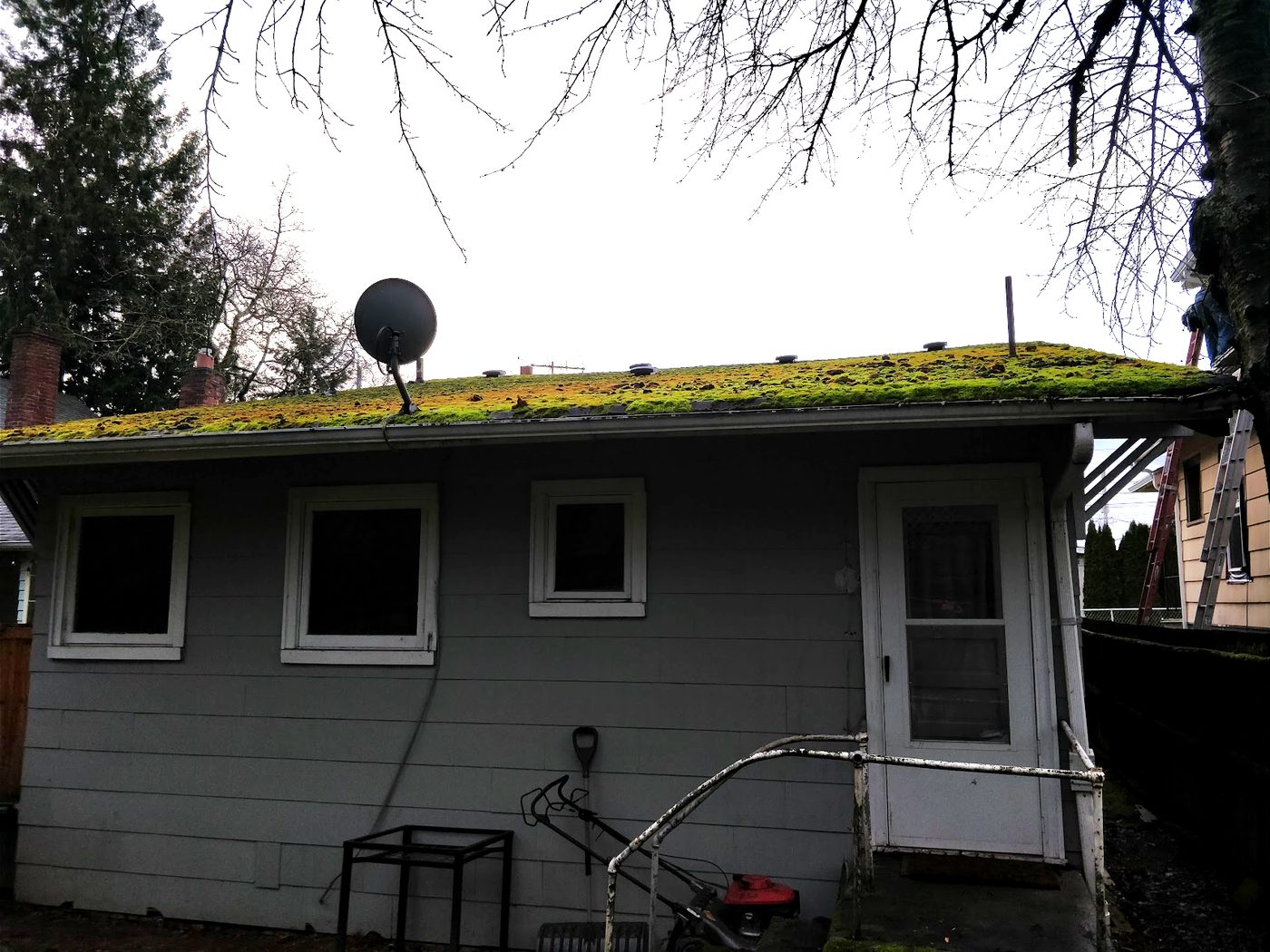 A 425-area house with a fully moss-covered roof