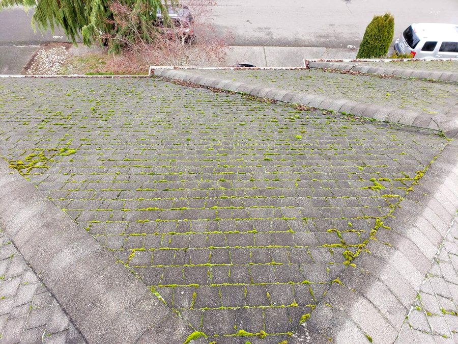 Roof with light moss between shingles