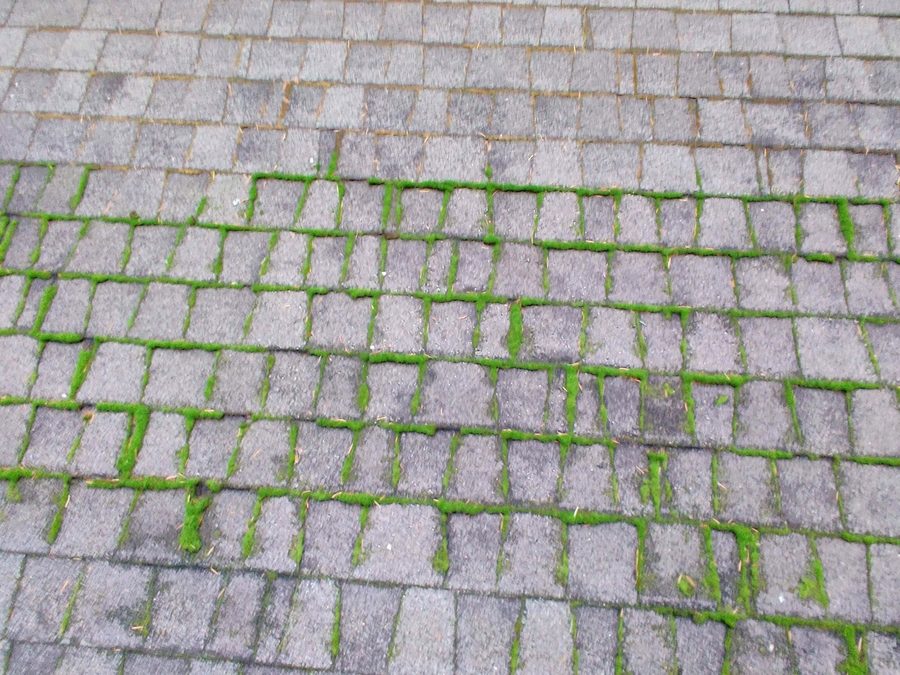 Roof with moss lines across every shingle