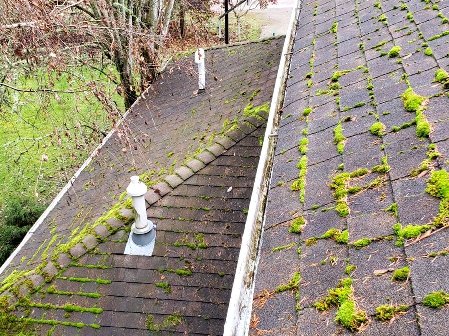 Roof heavily covered in thick moss